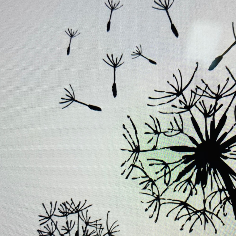 Meet your Posher, Sheri